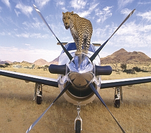 Leopard auf PC12